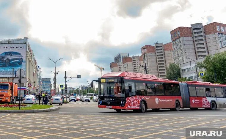 На маршрут №14 новые автобусы выйдут с 1 сентября