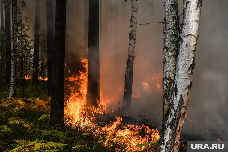 На месте пожара в Верхнесадовом в Севастополе работают подразделения МЧС