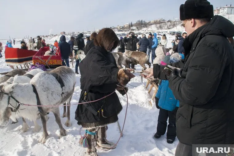 В день оленевода в ЯНАО установят рекорд России