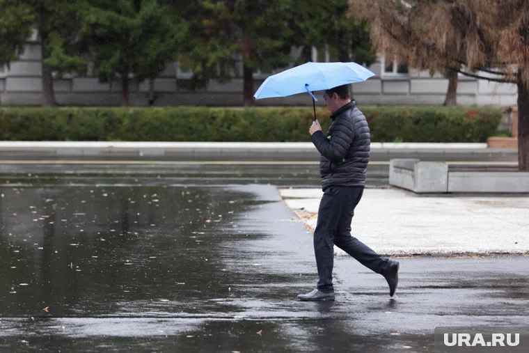 Пасмурная погода ожидается в Кургане и Шадринске