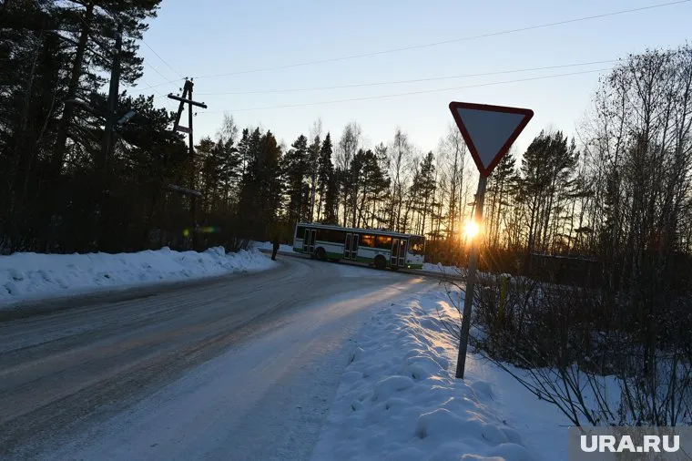 Дорога до ближайшего остановочного пункта проходит через лес (архивное фото)