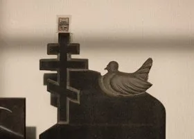 Фотография из галереи