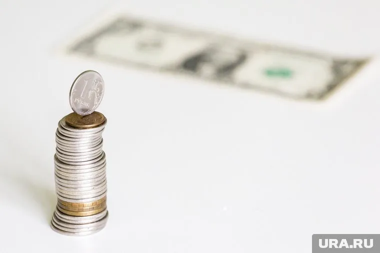 Политик назвала государственное банкротство России вопросом времени