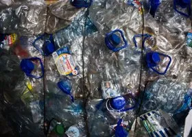 Ямальцев предупредили о документе, который нужно подписать до Нового года