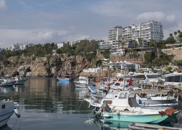 Фотография из галереи