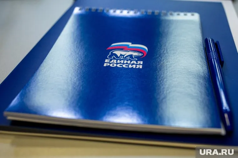 Курировать выборы от «Единой России» будет Татьяна Бочкарева