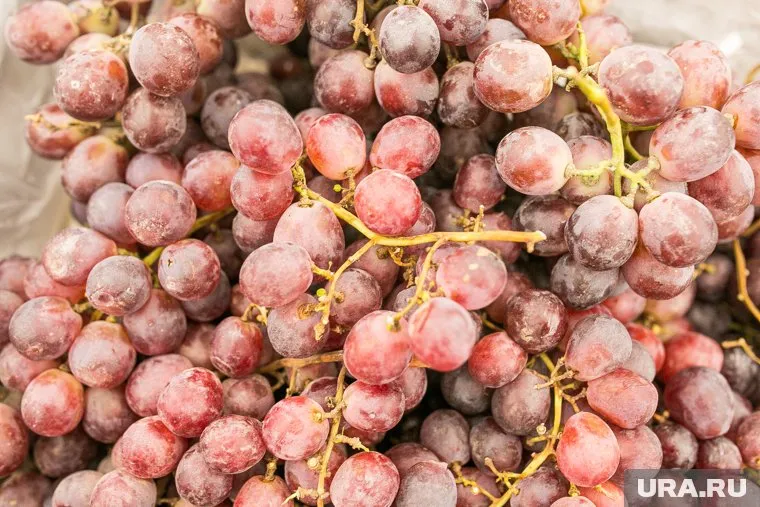 С 1 января вино в РФ может быть только из винограда