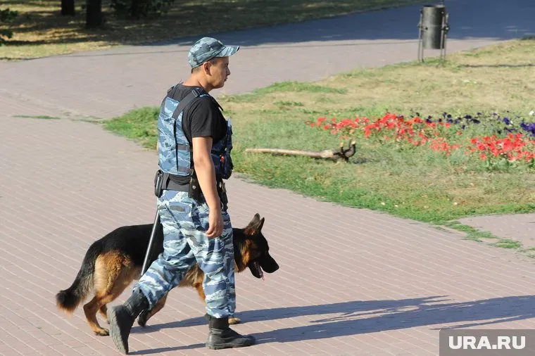 В Екатеринбурге разыскивают пропавшего шестилетнего мальчика (фото из архива)