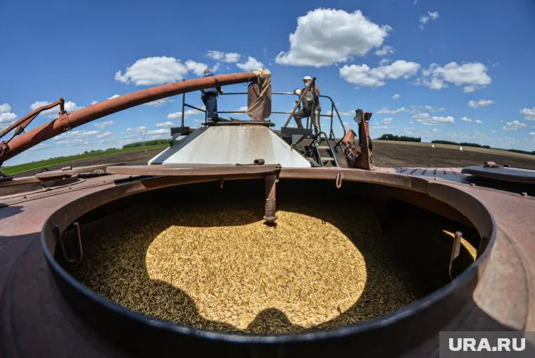 Зерновая сделка перестала приносить пользу кому-либо, заявил Владимир Путин