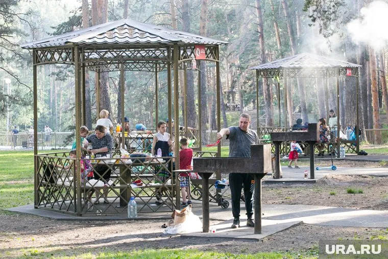 Горожане целыми семьями приезжают в Гилевскую рощу