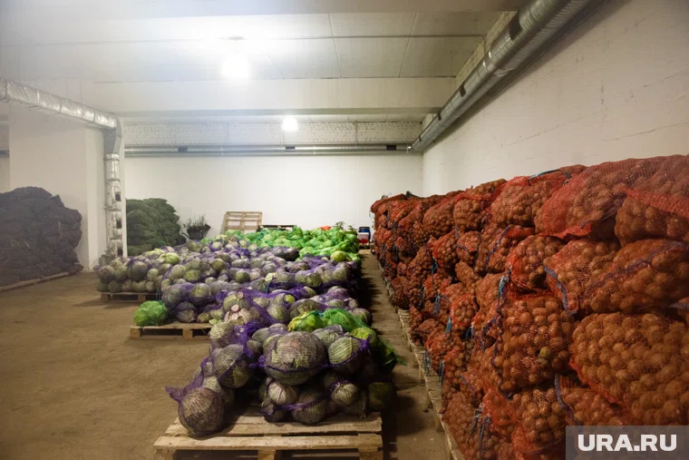 Жителей Гренландии призывают готовиться к чрезвычайной ситуации (архивное фото)