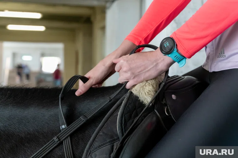 Иппотерапию для ветеранов СВО и членов их семей будут проводить на двух площадках 