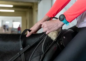 Курганская федерация конного спорта начала реабилитацию участников СВО