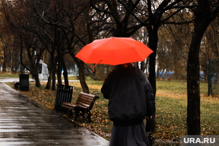 Температура воздуха ожидается на 4–6 градусов выше климатической нормы