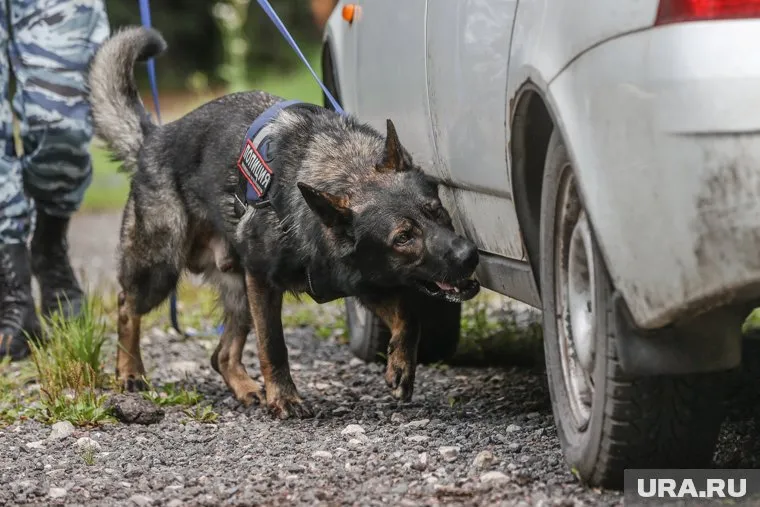 Белый джип с привязанной к днищу коробкой нашли в Москве