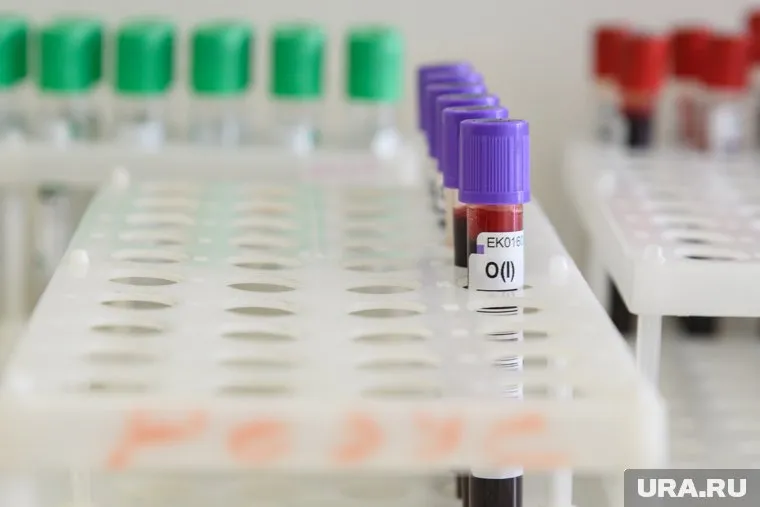 Обсуждение пройдет в режиме видеоконференции