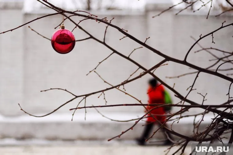 В России после Нового года каникулы продлевать не планируют