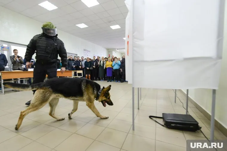 Волна сообщений о «минированиях» охватила несколько городов с сел Сахалинской области