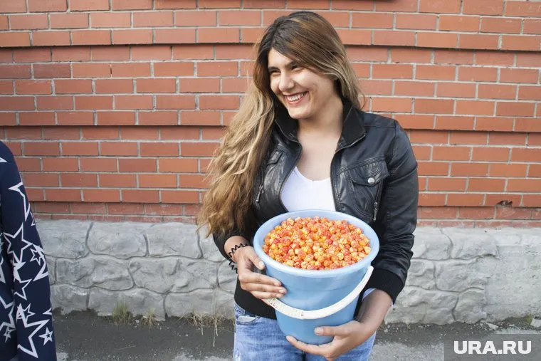 В 2025 году «Морошка» станет еще больше и выгоднее