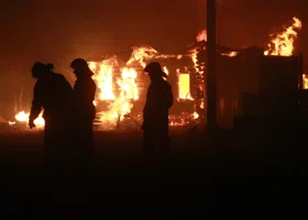 Фотография из галереи