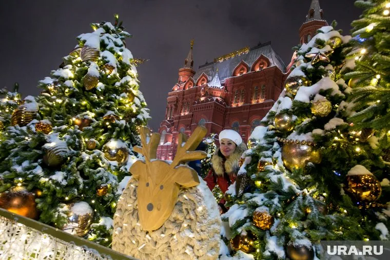 Каждый работодатель может сделать день перед Новым годом выходным для своих сотрудников