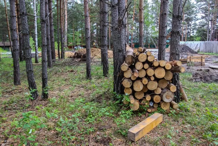Деревня Черная речка - тюменская "Рублевка". Тюменский район, Тюменская область, рубка леса, черная речка