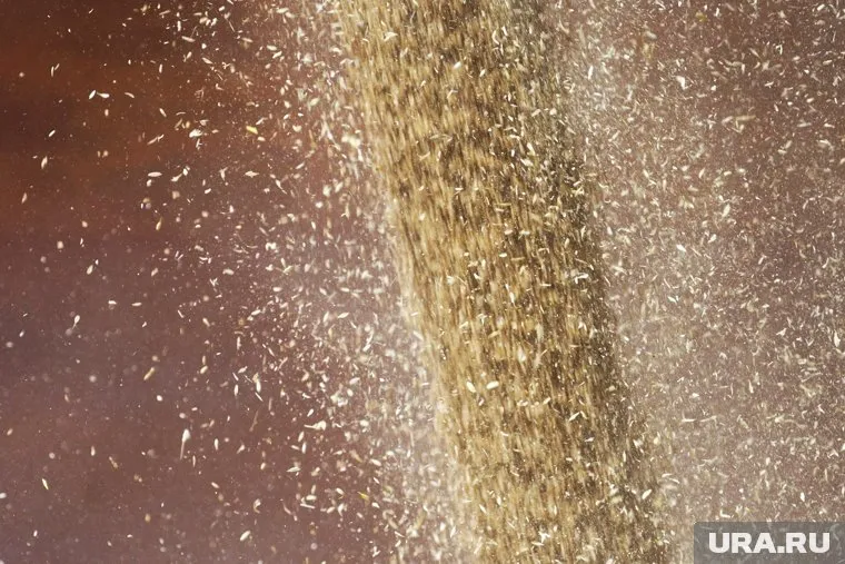 Операции с отмыванием денег не прошли мимо госорганов Украины, заявил Николай Азаров