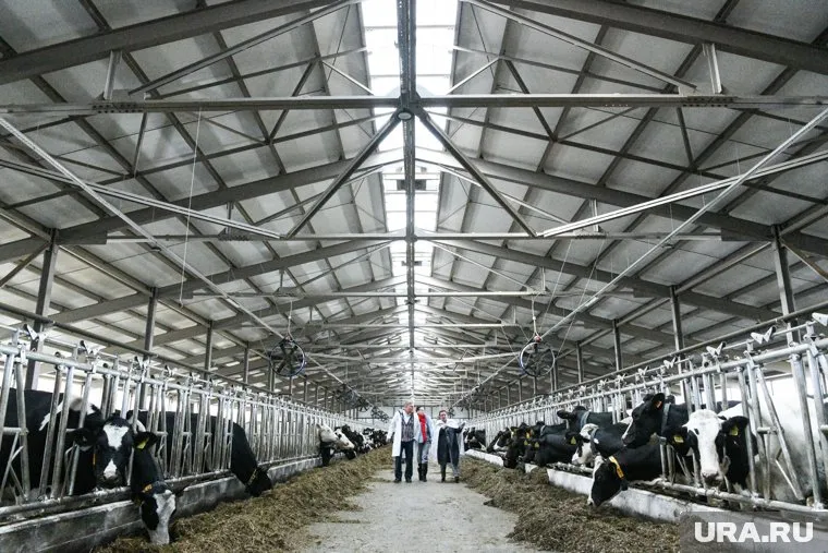 Ферма в ЯНАО наращивает объемы производства