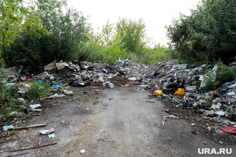 Курганцы возмущены трупами животных в городе