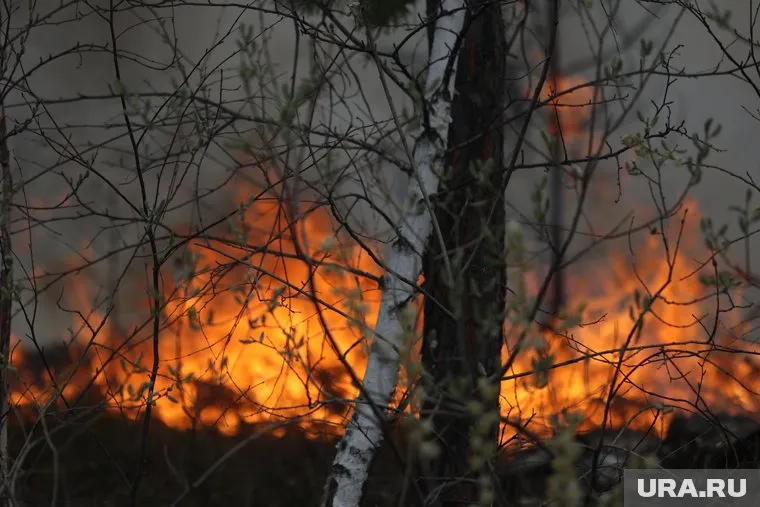 В Курганской области за нарушение противопожарного режима оштрафовали 425 человек