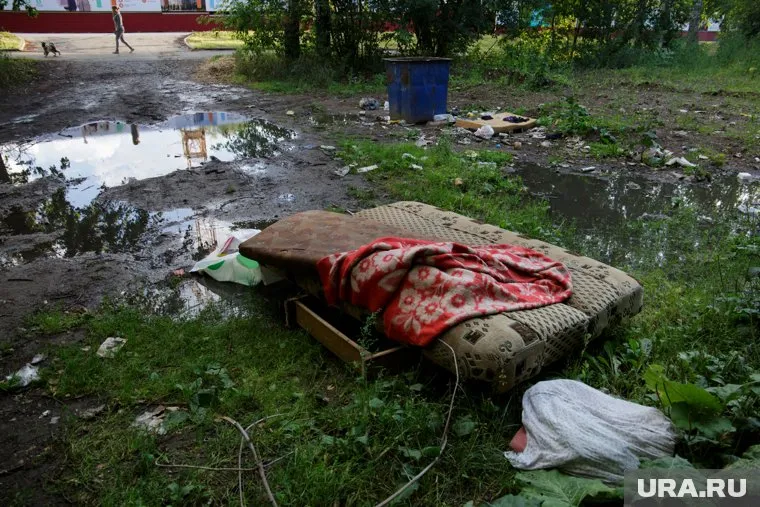 Бездомный оказал первую помощь пропавшей женщине