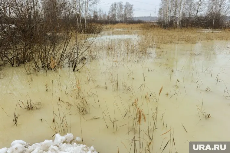 В Лабытнанги есть фекальный отстойник, куда сливают сточные воды из септиков (фото из архива)