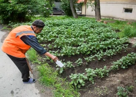 «Занимается импортозамещением по заветам Путина»
