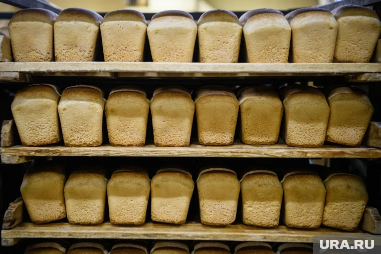 Школьников на Камчатке накормили хлебом с личинками