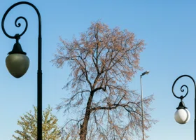 Плюсовая температура в Тюмени продержится еще некоторое время