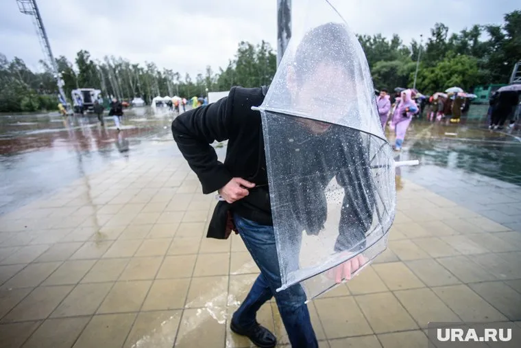 Порывы ветра могут доходить до 25 метров в секунду