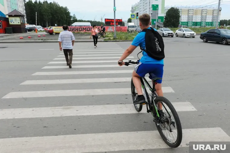 Велосипедист выскочил на дорогу внезапно