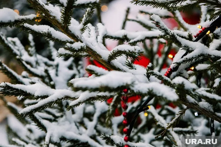 Днем в Тюмени пройдет небольшой снег
