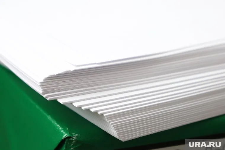 Из-за санкций против России финские власти ограничили поставку древесины в Россию