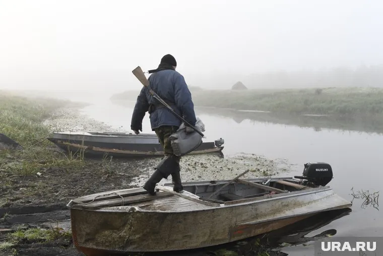 Квоты добычи зверя установлены на предстоящий год