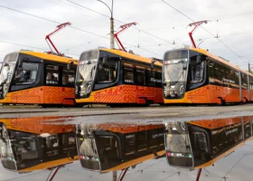 Фотография из галереи