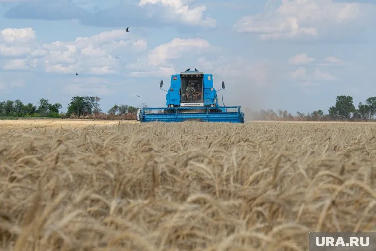 У России появился еще один рычаг давления на мировой рынок, сообщают СМИ
