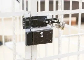 В Белоруссии посадили создателя telegram-канала Nexta Протасевича