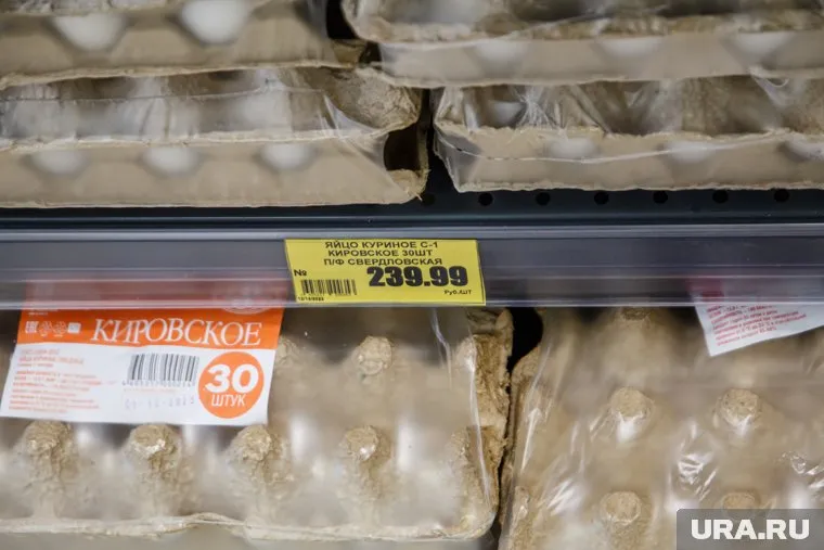 Минсельхоз в 2024 году увеличит производительность яиц