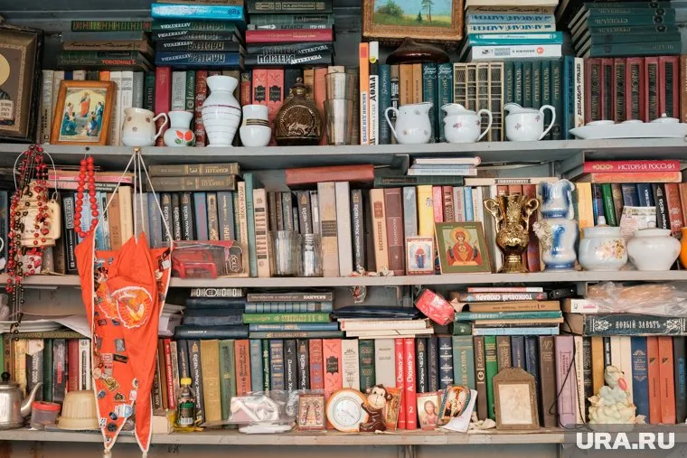 В курганских библиотеках пройдет «Библионочь»