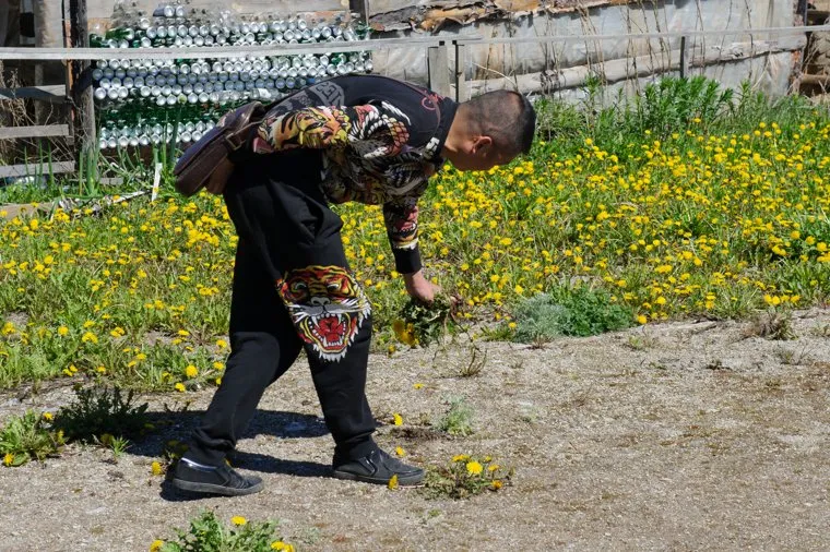 Рейд Россельхознадзора в китайские теплицы ООО Дружба Режевского района Свердловской области. Село Останино