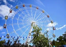 Фотография из галереи