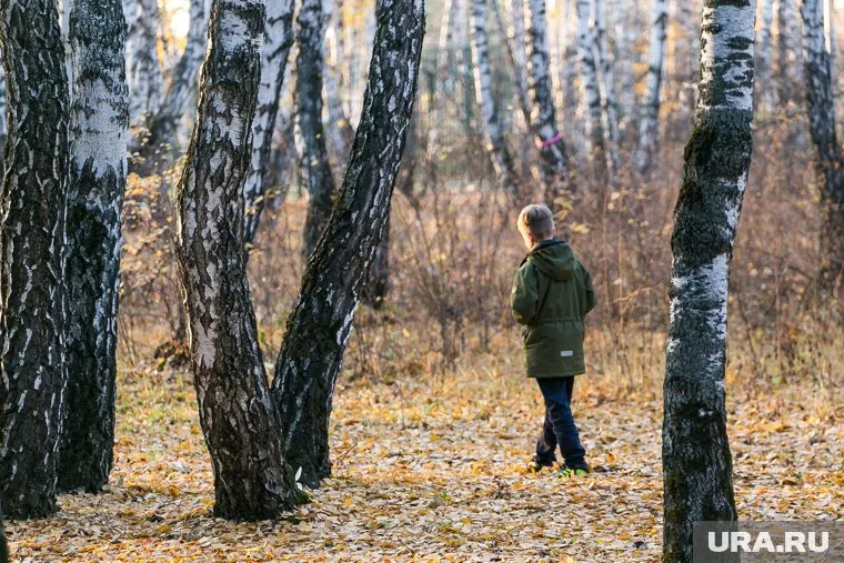 В Перми разыскивают маленького мальчика (архивное фото)