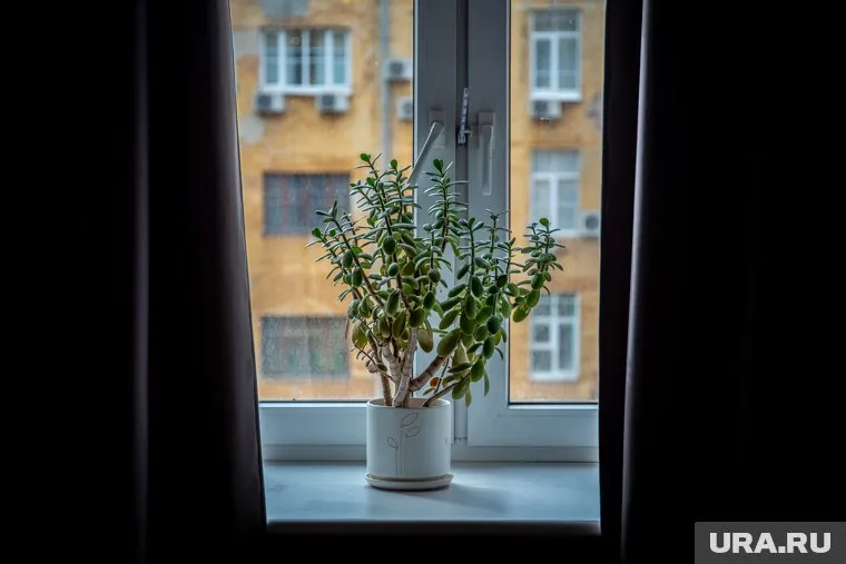 Некорректная табличка появилась на фасаде жилого дома в Нижней Салде