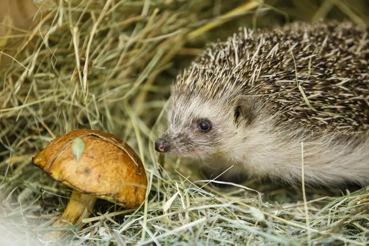 Екатеринбургский зоопарк. Екатеринбург